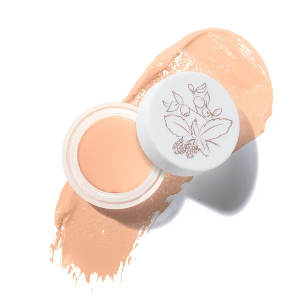 100% Pure Fruit Pigmented Long Last Concealer with Super Fruits